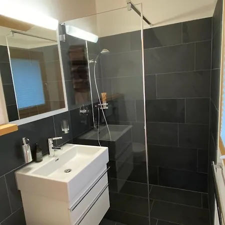 Lumnezia Lux Holiday home *